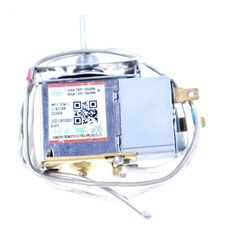 DUAL-TEMPERATURE CONVERSION-TYPE TEMPERATURE CONTROLLER
