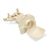 C00424978 Dulie suprt termostat frigider Whirlpool 486081500299 Original, 3 image
