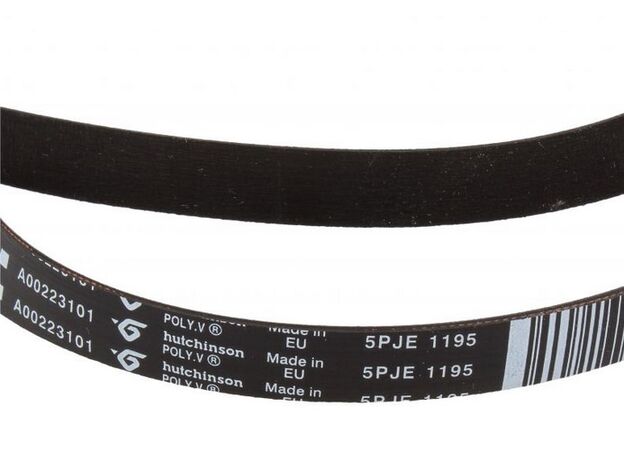 1195 5PJE Curea masina de spalat Electrolux 140002231011 Original, 2 image