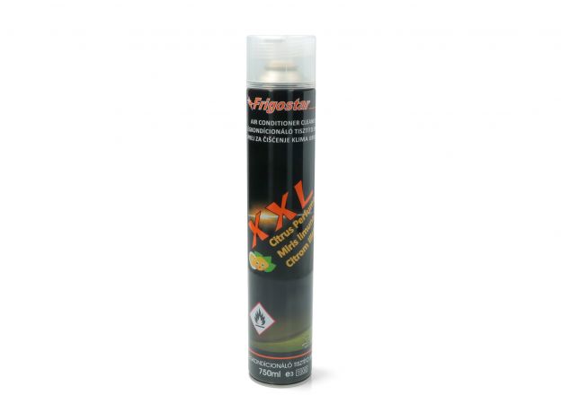 Spray igenizare aer conditionat Frigostar 750ml
