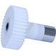 ROATA DINTATA GEAR / SPUR