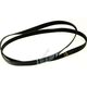 C00083910 CUREA ELASTICA INDESIT