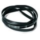 5PJ 1880 PJ5 Curea uscator rufe Miele 11114230